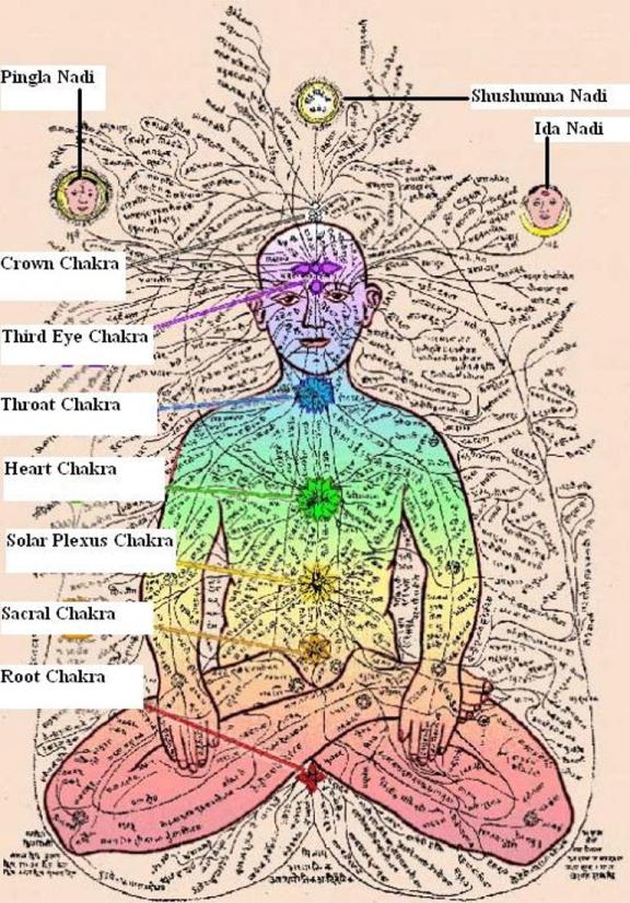 nadis in the human body